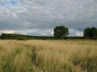 Деревня    Юркино