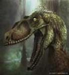 сергей шинкаренко