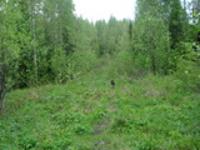 Поселок Озеро