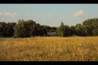 Деревня    Бабинка