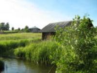 Деревня    Ладунино