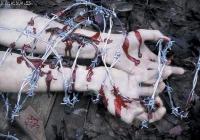 Татьяна Медведева