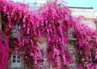 Село Щениково