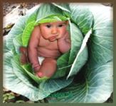 Андрей Лескин