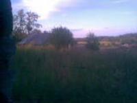 Наталия Палинка