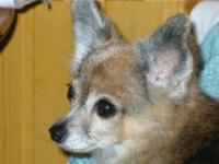 сергей куприянов