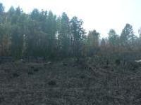 Деревня    Заводовка