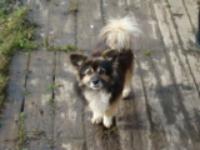 Иришка Иванова