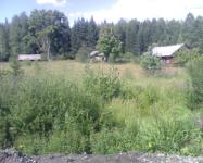 Деревня    Петрушино