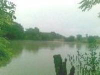 ВАЛЕНТИНА ГОЛОВНЯ