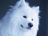 Людмила Растольная