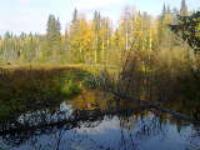 Поселок Квазеньга