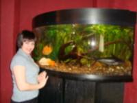 Елена Михайлова