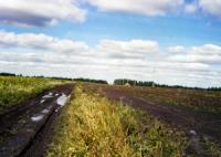 Деревня    Лиховидово