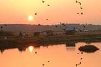 Деревня    Поповка (Семенковский с/с)