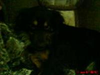 ллллллллллл лллллллллллллллл