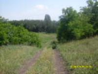 Хутор Кочки