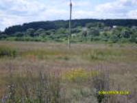 Светлана Климантова