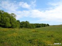 Наталья Волик(Булдаева)