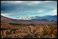 Михаела Петрова