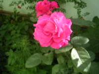 Татьяна Мозгачева