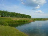 Ирина Иринина