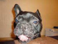 Улица Завадского