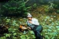 Алексндр Морозовский