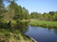 Лариса Буланцова