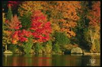 Тамара Чурбакова(Барсукова)