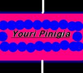 Юрий Пинигин