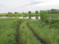 Село Глуховка