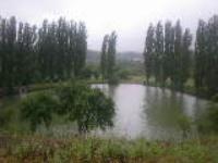 Станица Николаевская