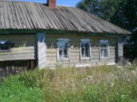 Евгений Шангин