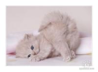 Ольга Кирьявайнен