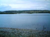 Село Талловерово