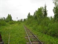 Татьяна Пантеева