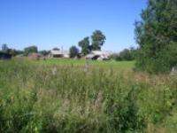 Деревня    Шабры