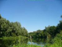 Село Моисеево