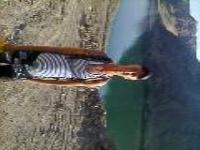 алексей викторович галдус