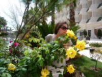 Айгуль Газиева