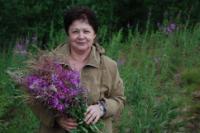 Деревня    Кокшарка