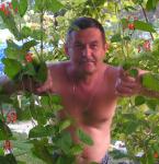 Владимир Богачёв