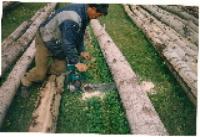 Деревня    Новые Казанчи