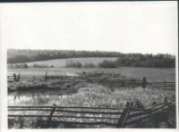 Деревня    Уследнево