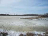 Деревня    Ядрышникова