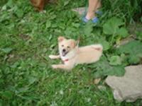 Село Малый Ашап