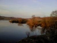 Деревня    Голенищево