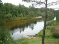 Ольга Заяева(Маврина)