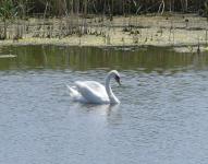 Деревня    Воздвиженка